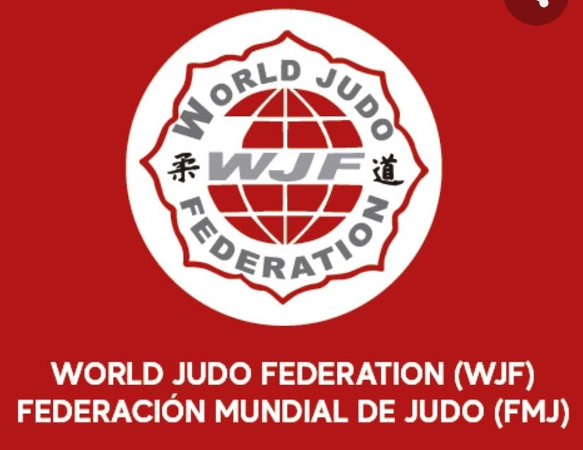 Wjf WJF International Training Seminar / Seminario Internacional de ...